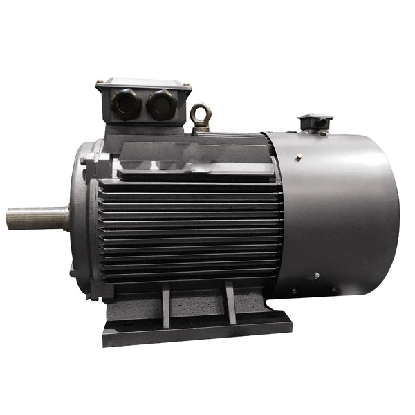 inverter driven motor